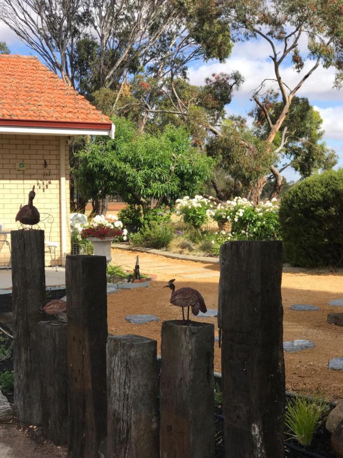 Yellow Gum Bed And Breakfast Katanning Exterior foto