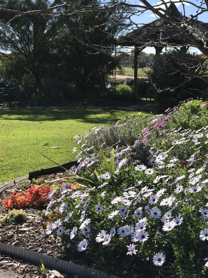 Yellow Gum Bed And Breakfast Katanning Exterior foto